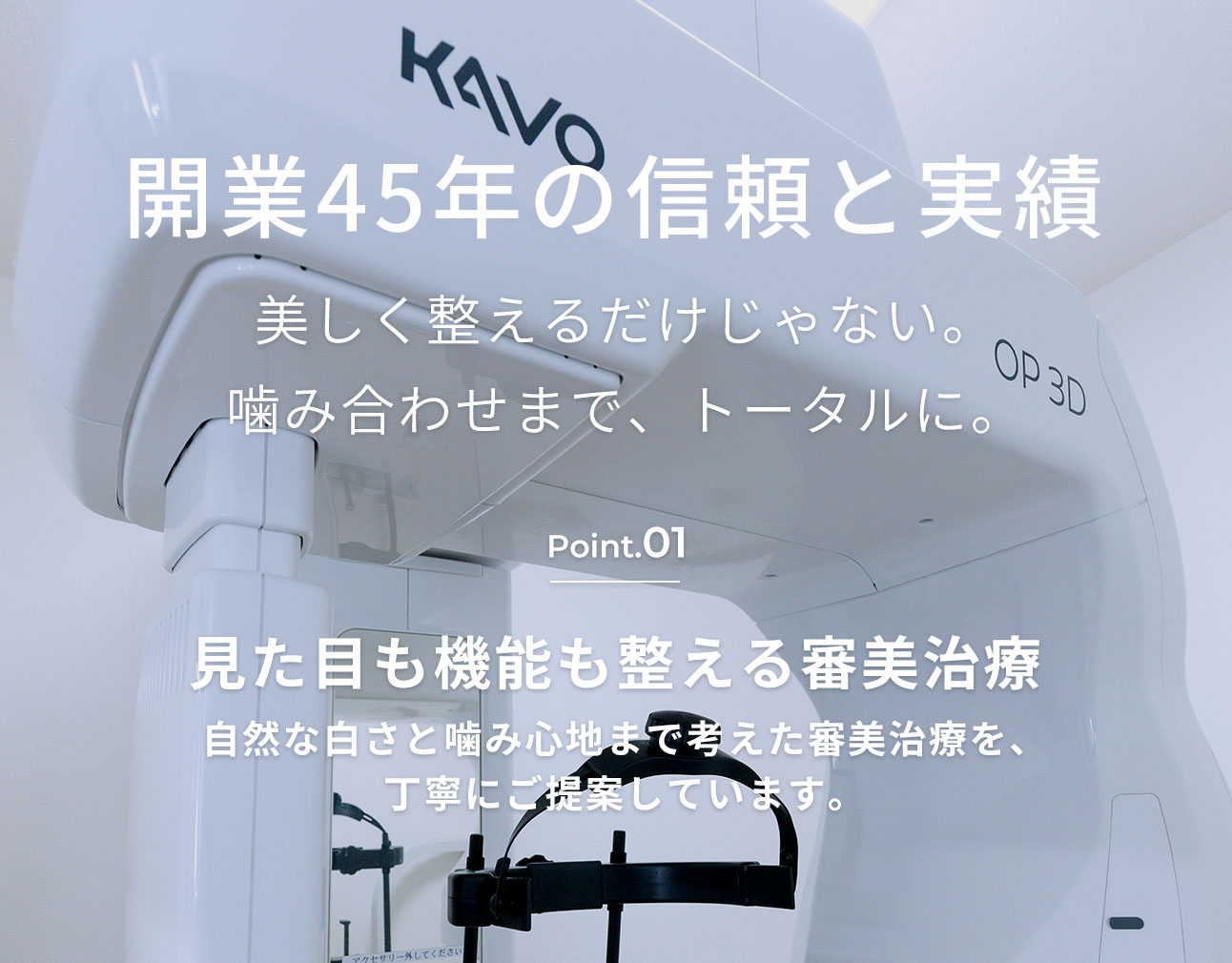 美しく整えるだけじゃない。噛み合わせまで、トータルに。